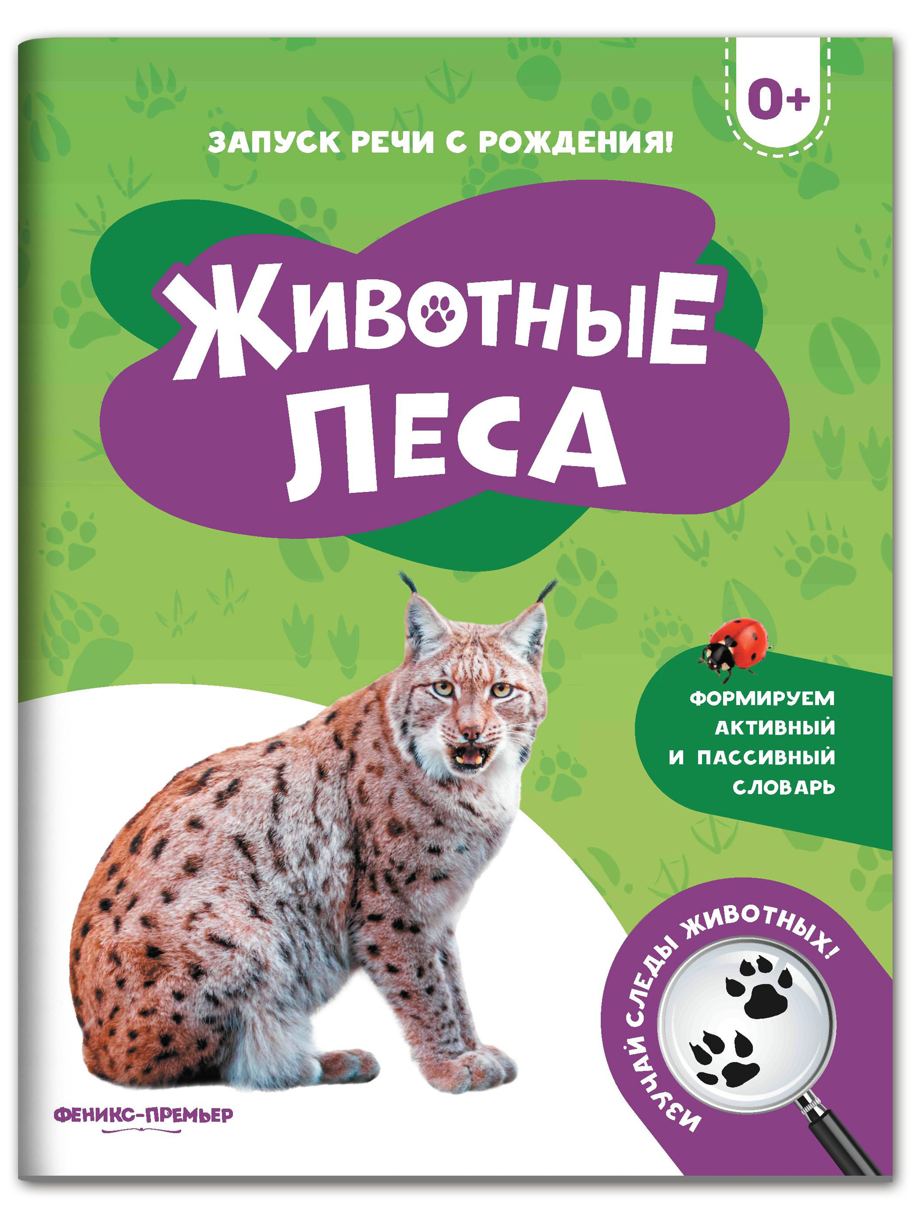 Книга Феникс Премьер Животные леса. Фотоброшюра 0+ купить по цене 149 ₽ в  интернет-магазине Детский мир