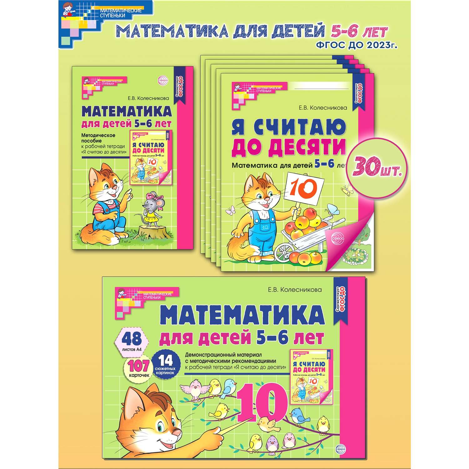 Книги ТЦ Сфера Математические ступеньки для старшей группы детского сада 30 тетрадей - фото 1