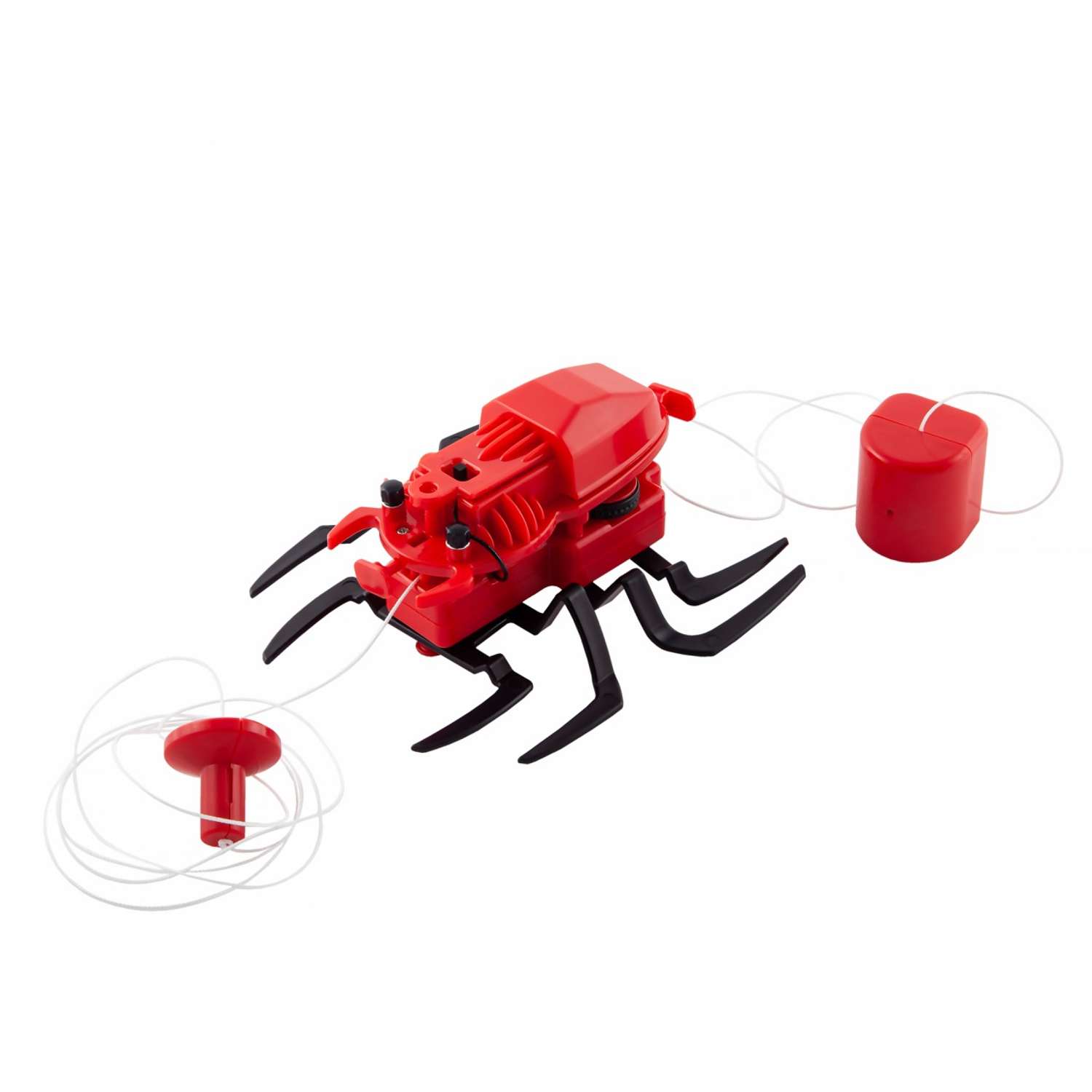 Kidz best sale robotix spider