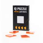 Игра логическая IQ PUZZLE Головоломка Квадрат 4 деталей