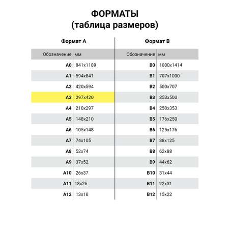 Бумага для черчения Brauberg для школы канцелярская А3 в папке 24 листа 200г/м2 ватман ГОЗНАК