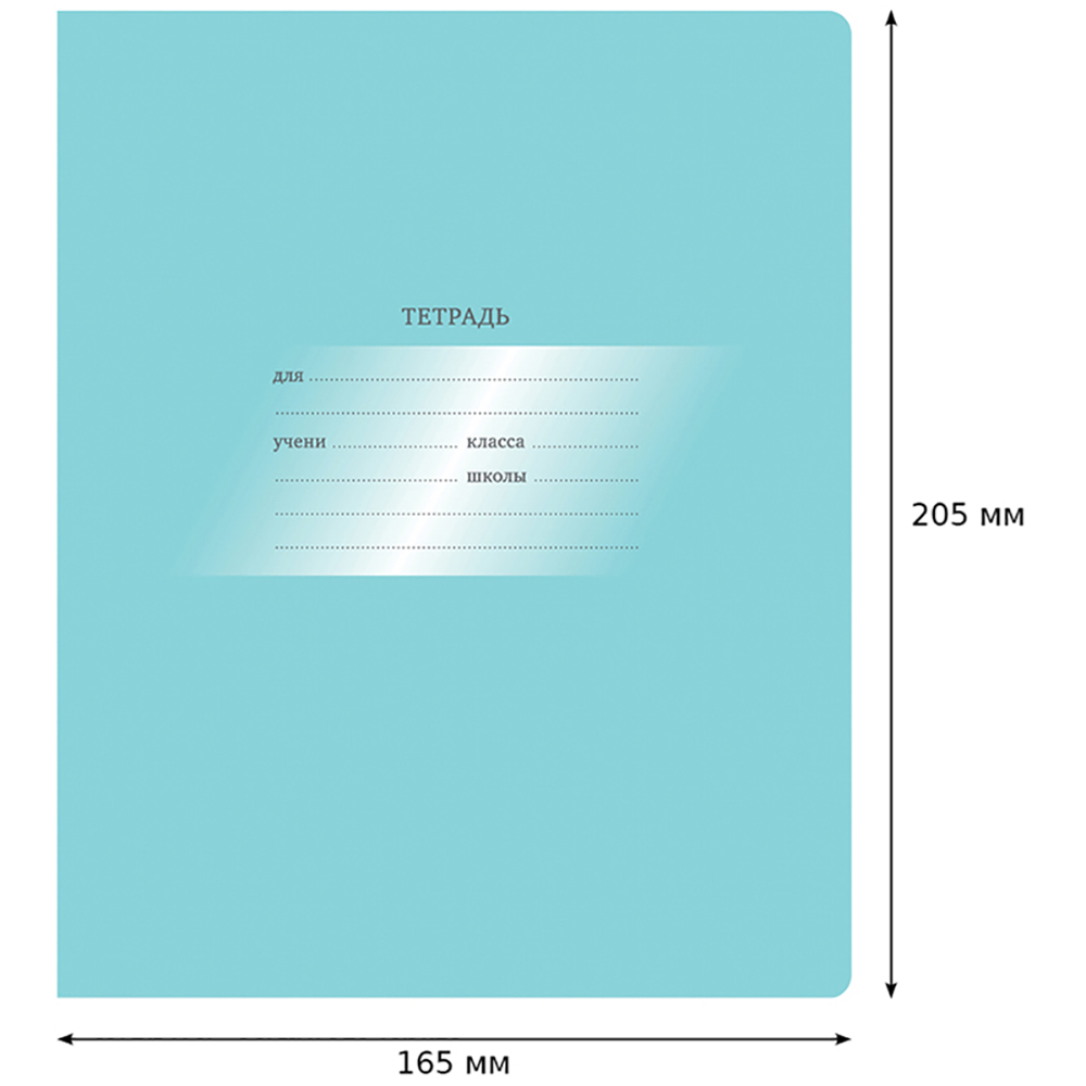 Тетрадь BG 12 л косая линия Первоклассная светло-бирюзовая 16 шт - фото 3