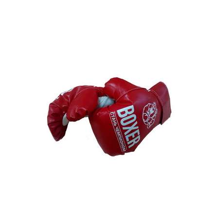 Боксерские перчатки ПК Лидер мт51536