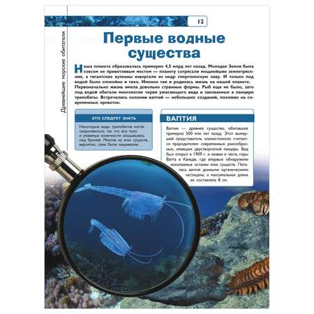 Энциклопедия Подводный мир