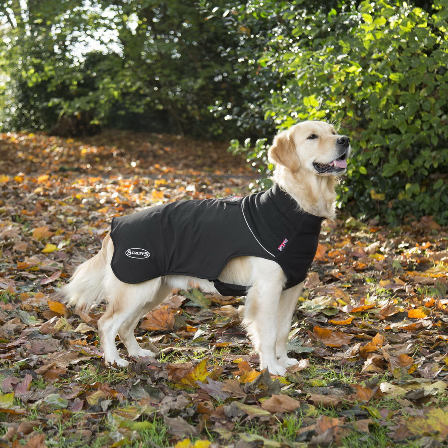 Попона согревающая SCRUFFS Thermal Dog Jacket - фото 5