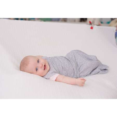 Конверт на липучке Summer Infant S/M Розовые птички (56526)