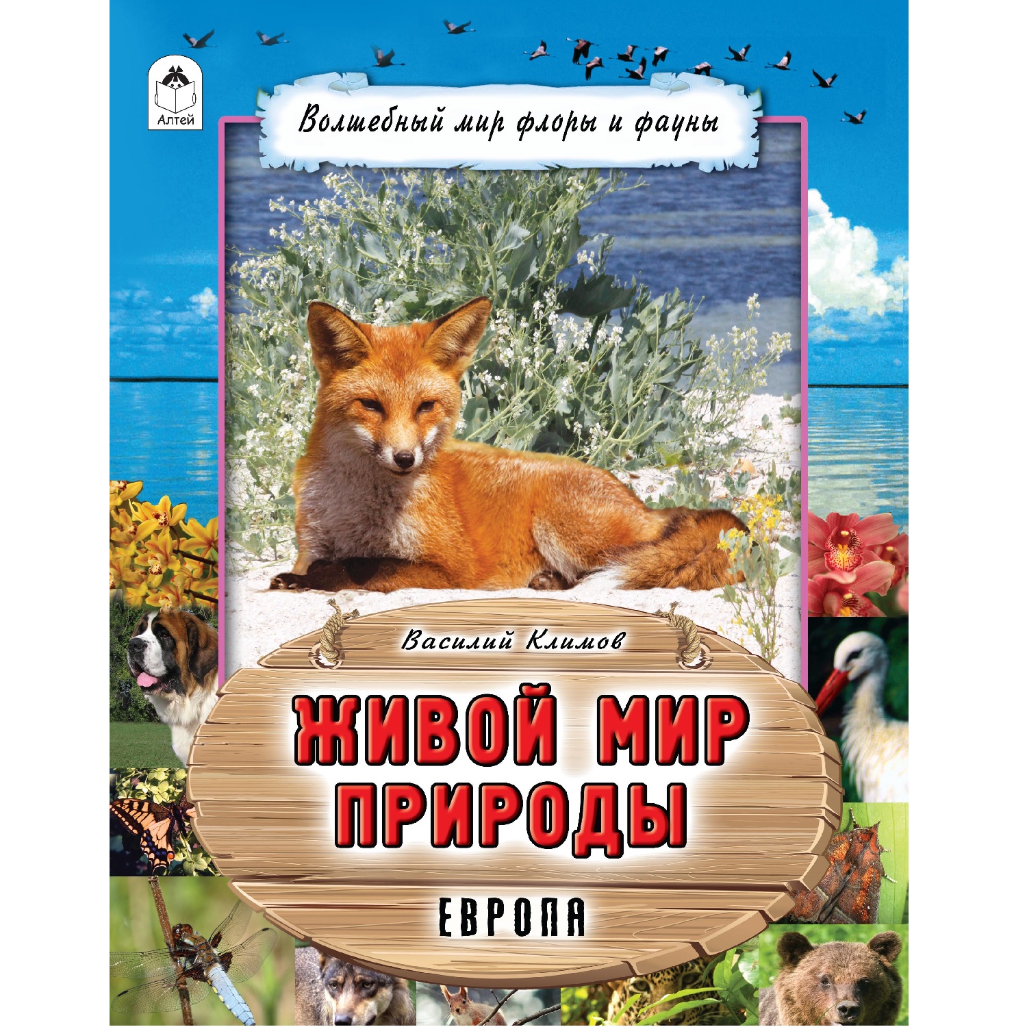 Книга Алтей Живой мир природы. Европа - фото 1