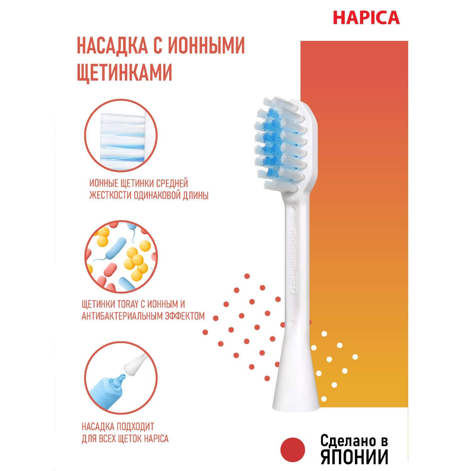 Электрическая зубная щетка Hapica DB-3XY ионная 10+ лет - фото 2