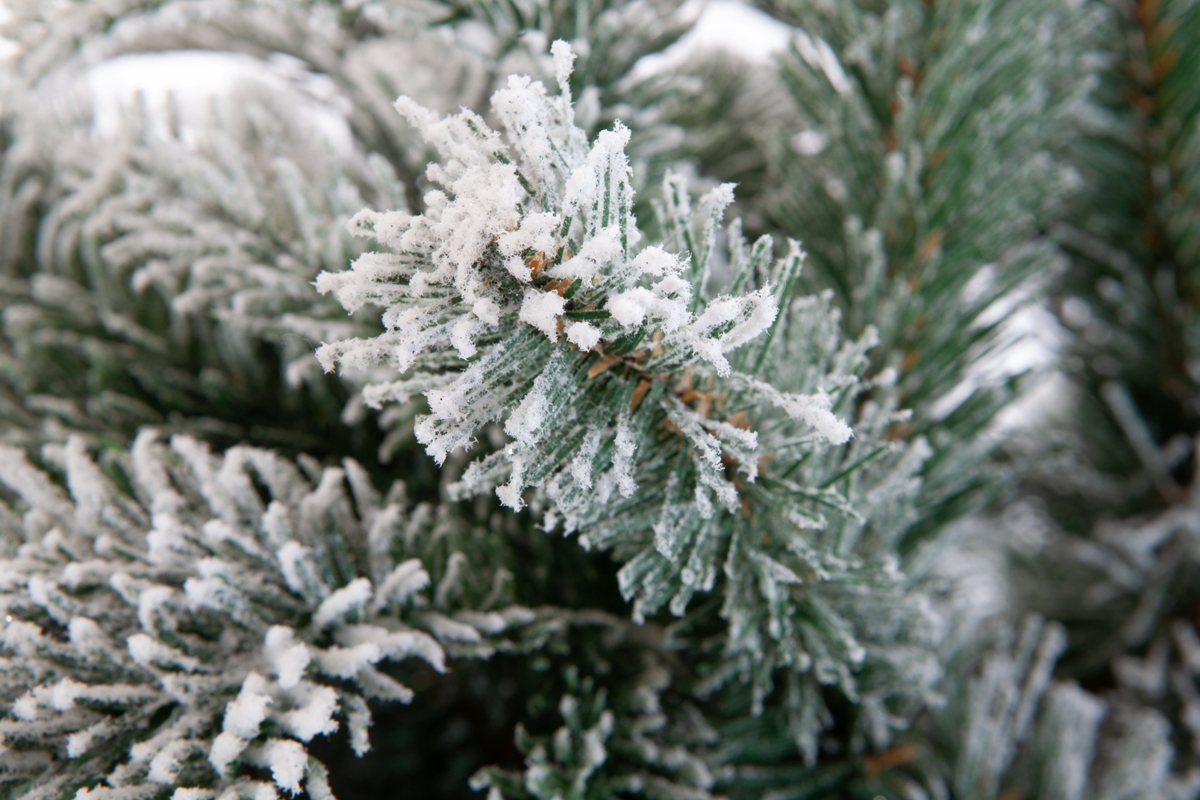 Искусственная елка Crystal Trees Гарда заснеженная 240см. - фото 2