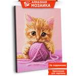 Алмазная мозаика Art sensation Игривый котёнок в ассортименте