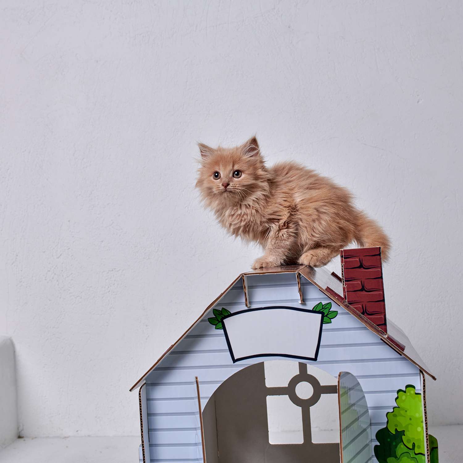 Домик MASKBRO улучшенный картонный для кошек и собак с когтеточкой и мятой - фото 7