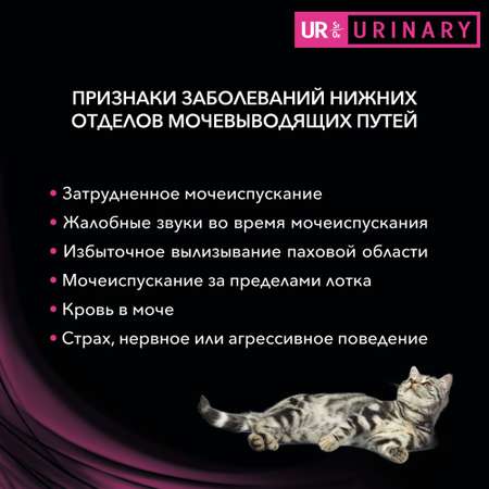 Корм для кошек Purina Pro Plan Veterinary diets UR St/Ox при болезни нижних отделов мочевыводящих путей лосось пауч 85г