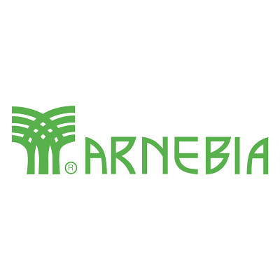 Arnebia