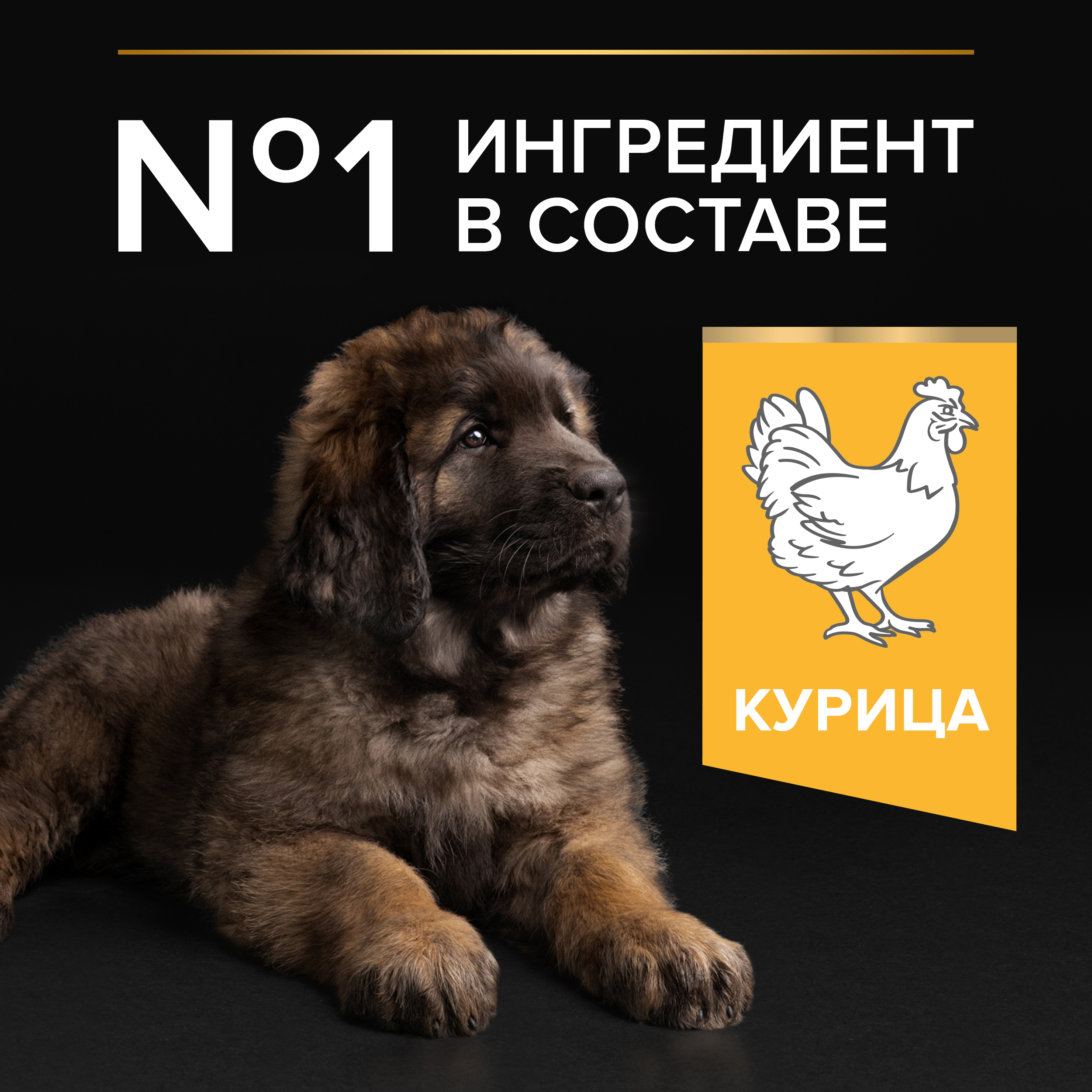 Корм для щенков PRO PLAN Starter крупных пород курица 12кг - фото 4