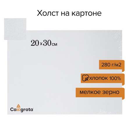 Холст на картоне Calligrata хлопок 100% 20*30см 7649586