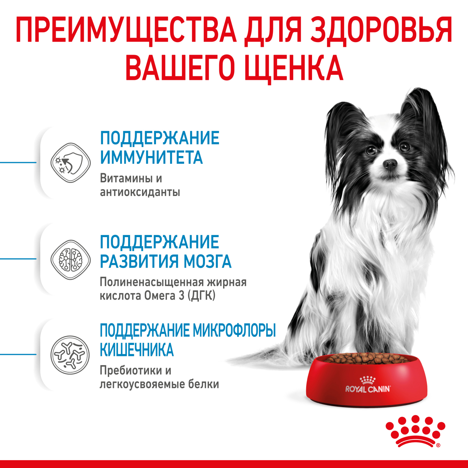 Корм для щенков ROYAL CANIN Junior миниатюрных пород 1.5кг - фото 5