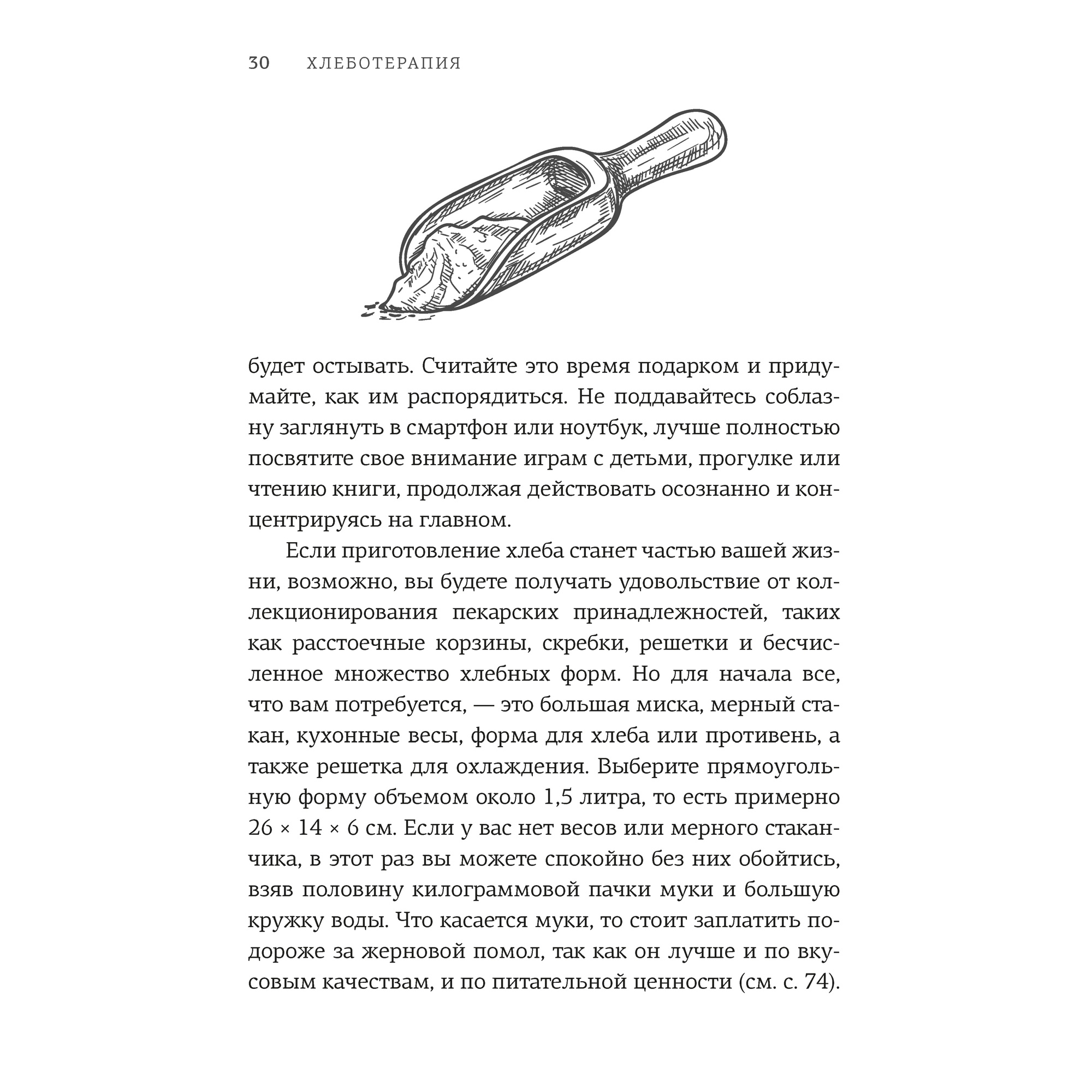 Книга КОЛИБРИ Хлеботерапия. Искусство осознанного выпекания хлеба Бомон П - фото 8