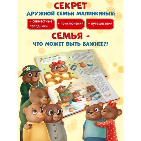 Книга Проф-Пресс Семейные истории Малинкиных