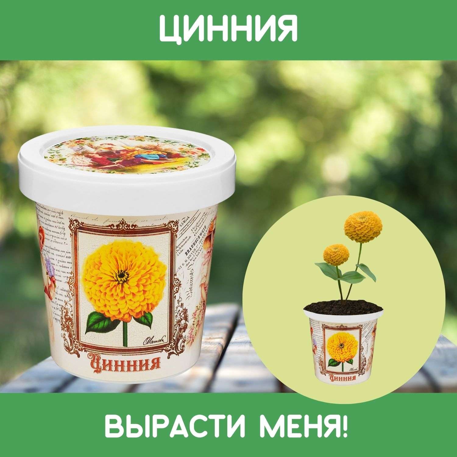 Набор для выращивания растений Rostok Visa Вырасти сам цветок Цинния в подарочном горшке - фото 1