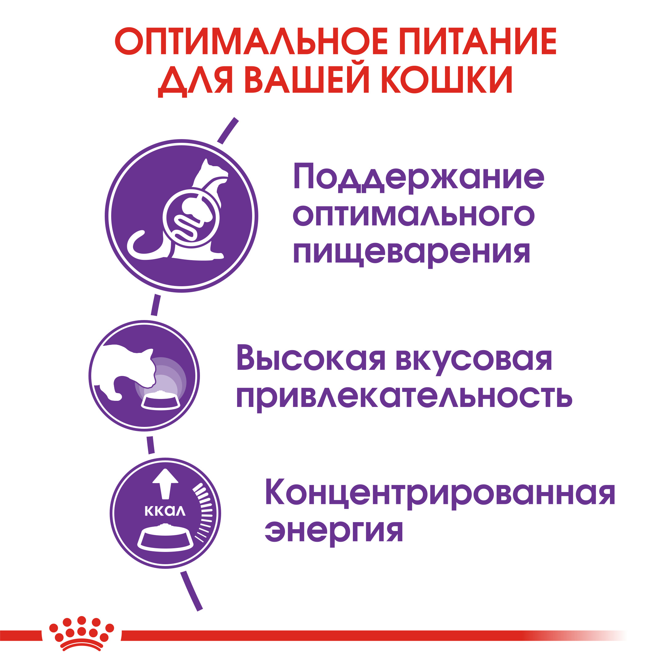 Сухой корм для кошек ROYAL CANIN 0.2 кг (полнорационный) - фото 5