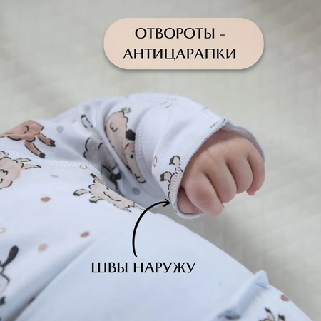 Боди LeeLuckBaby