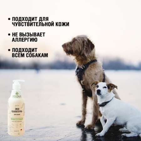 Шампунь для собак ECOZAVR с антибактериальным эффектом Алоэ 500мл