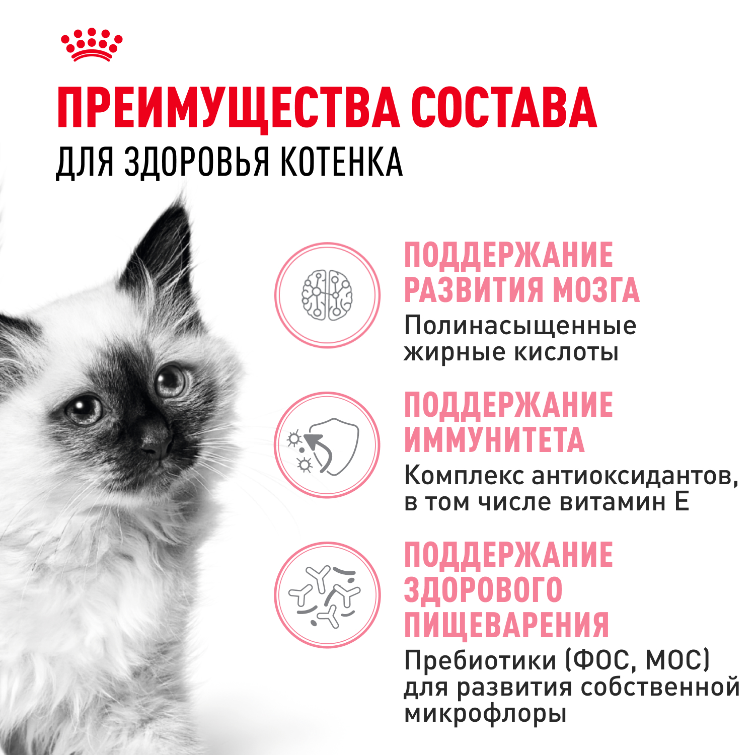 Корм сухой для котят ROYAL CANIN Kitten 2кг - фото 4