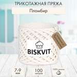 Трикотажная пряжа BISKVIT Пломбир