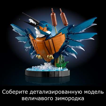 Конструктор LEGO Icons Зимородок Сборная модель птицы 10331