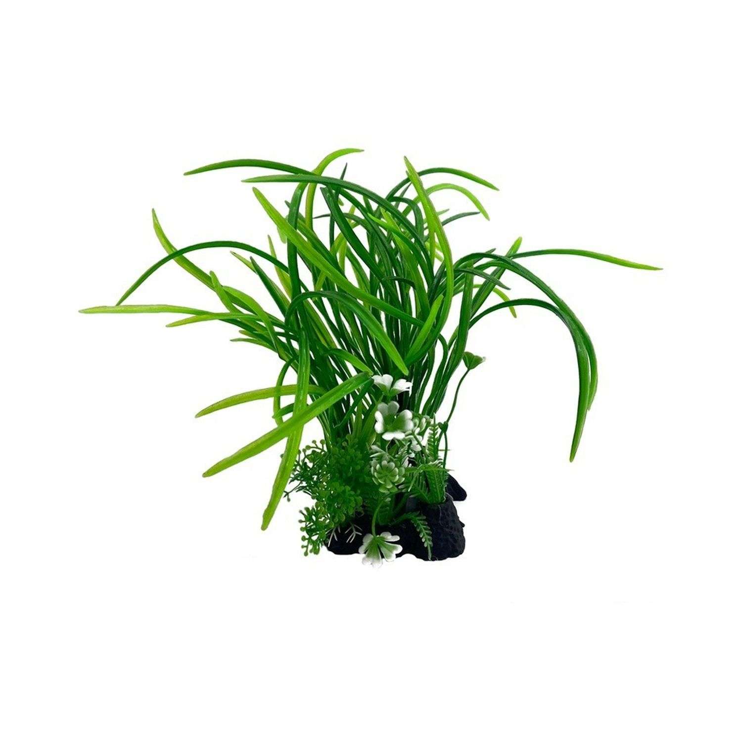 Аквариумное растение Rabizy 9х8х25 см - фото 2