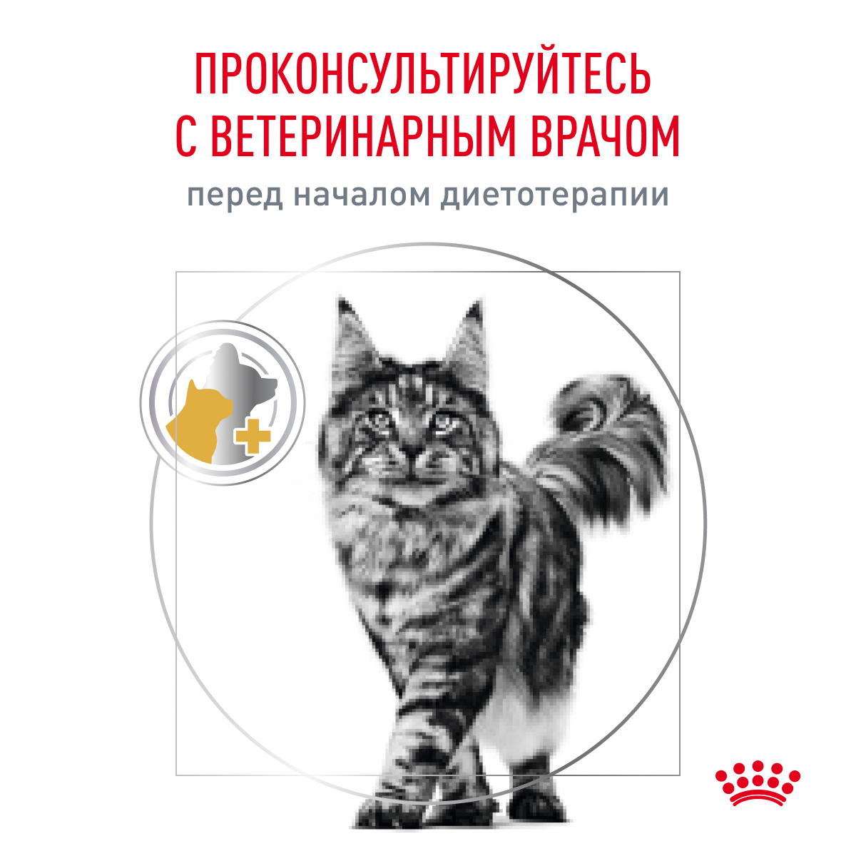 Корм для кошек ROYAL CANIN Veterinary Diet Urinary S/O LP34 Лечение и профилактика МКБ 3.5 кг - фото 8