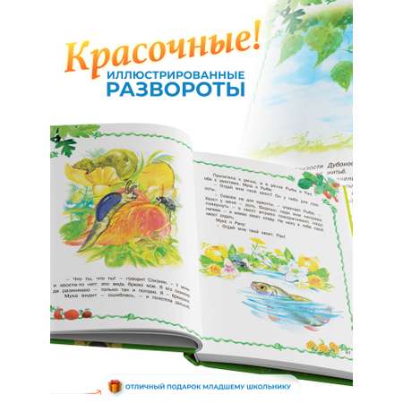 Книга Русич Лесные истории