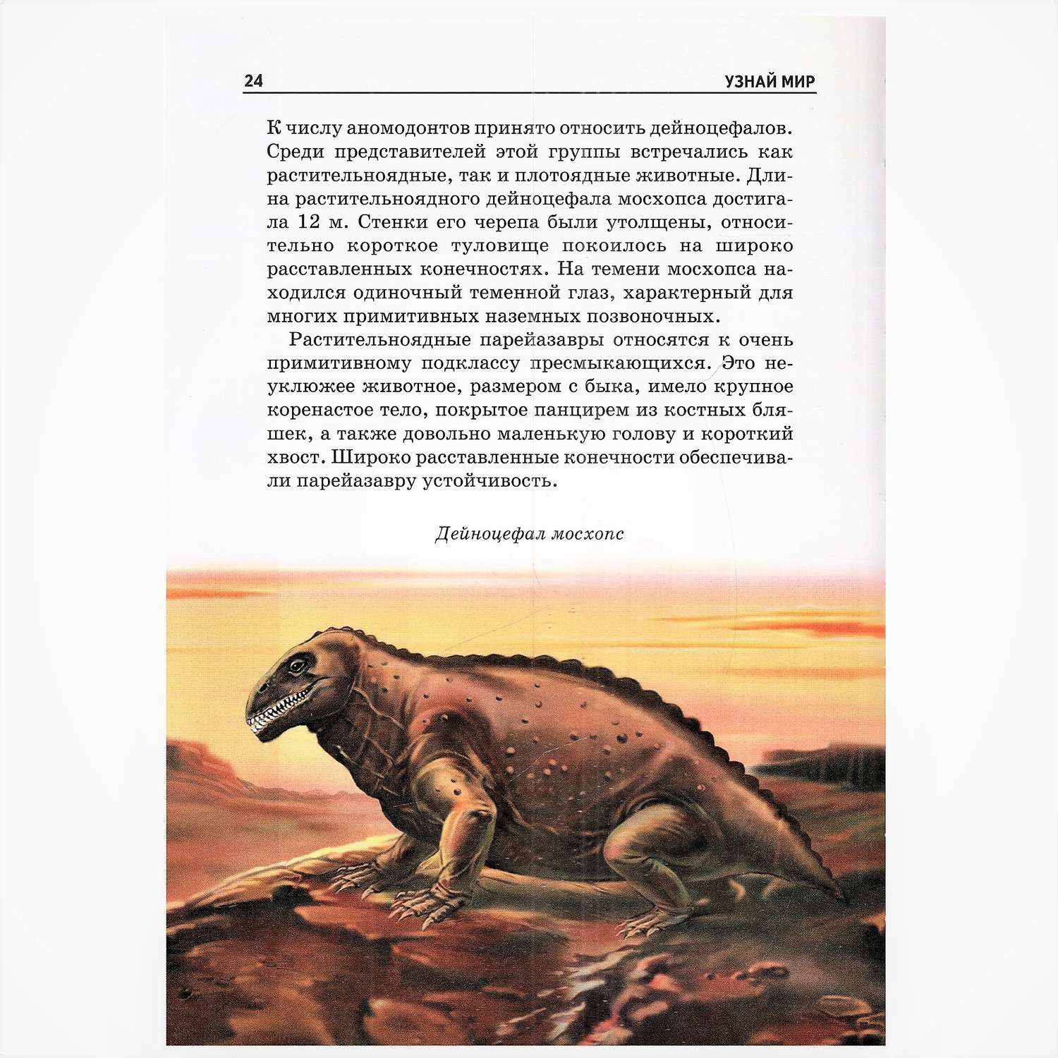 Книга Лада Динозавры. Школьный путеводитель - фото 2