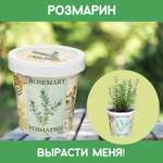 Набор для выращивания растений Rostok Visa Вырасти сам Розмарин в подарочном горшке