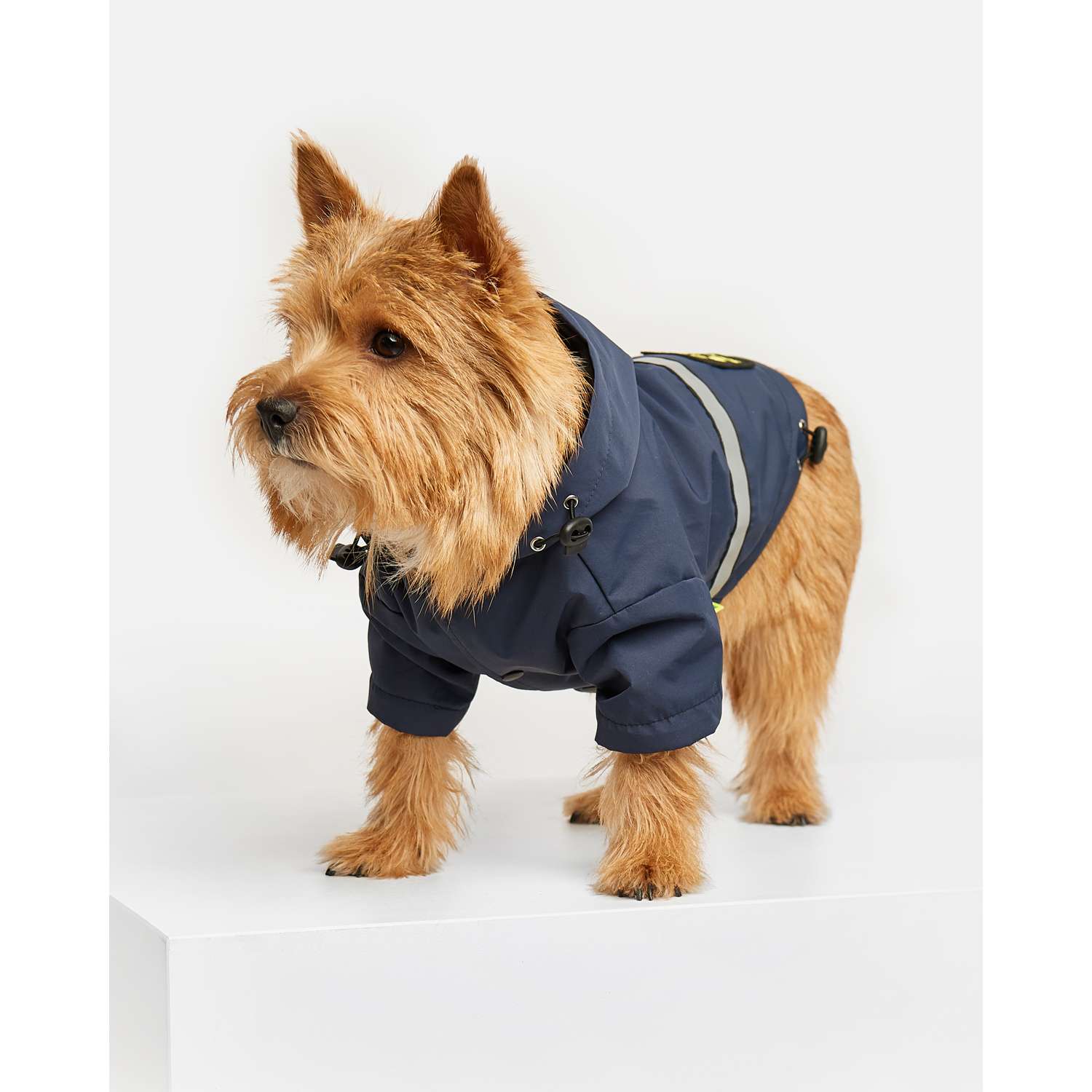 Дождевик-куртка для собак Зоозавр темно-синяя 25 - фото 1