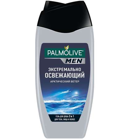 Гель для душа Palmolive Арктический ветер 3в1 250мл