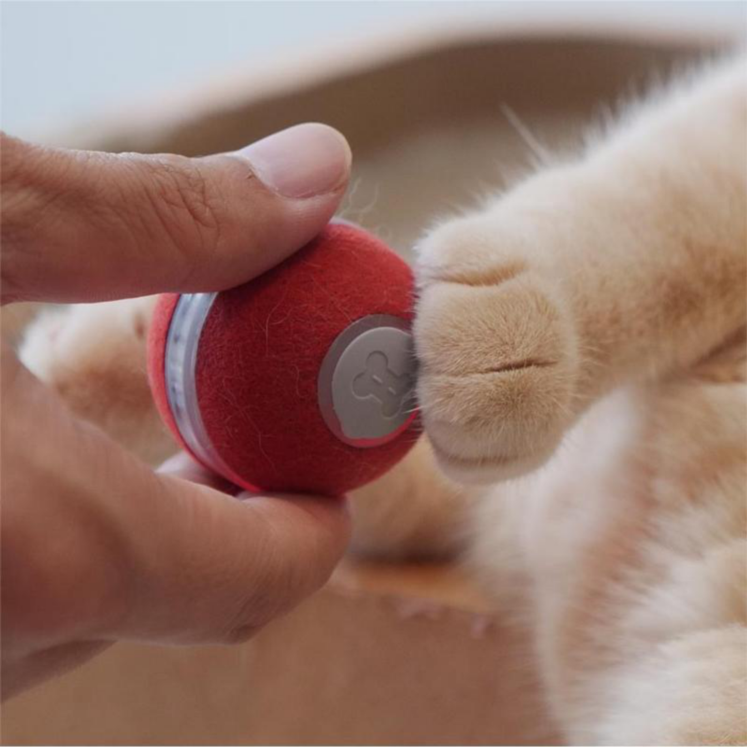 Интерактивная игрушка Cheerble для кошек и котят мячик-дразнилка Ball M1 Красный - фото 4