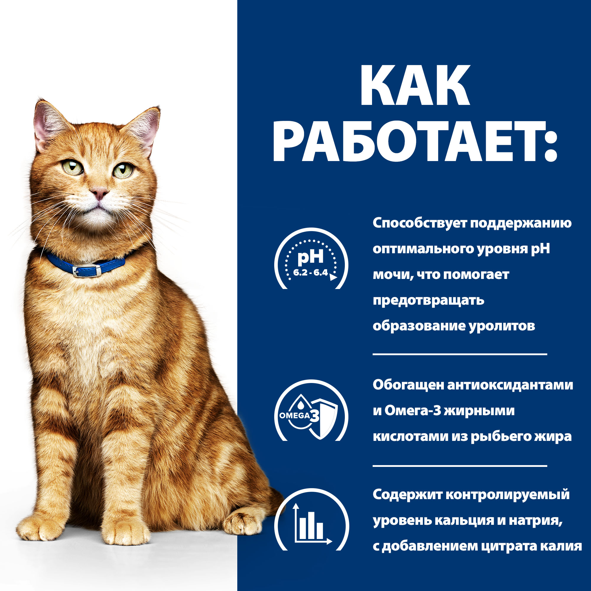 Корм для кошек HILLS 3кг Prescription Diet c/d Multicare Urinary Care при профилактике мочекаменной болезни с курицей сухой - фото 4