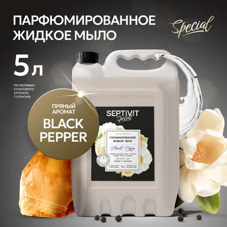 Жидкое мыло парфюмированное SEPTIVIT Premium Black Pepper 5л