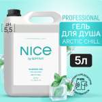 Гель для душа NICE by Septivit Arctic chill 5л