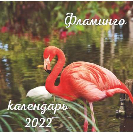 Календарь ЭКСМО-ПРЕСС настенный 2022