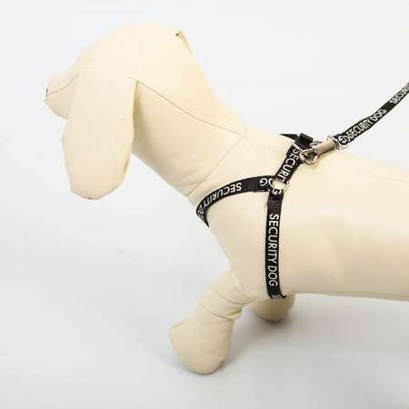 Комплект для собаки Пушистое счастье Security dog шлейка 28-47 см поводок 120 см