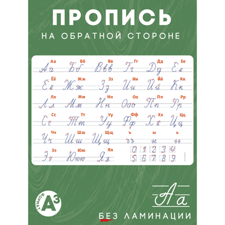 Плакат Азбука + Прописи 1221PRINT двусторонний неламинированный