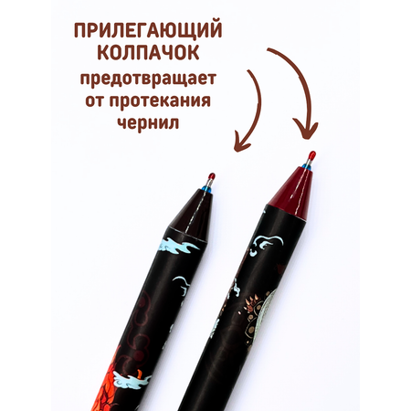 Ручки пиши стирай CANBI гелевые со стираемыми чернилами