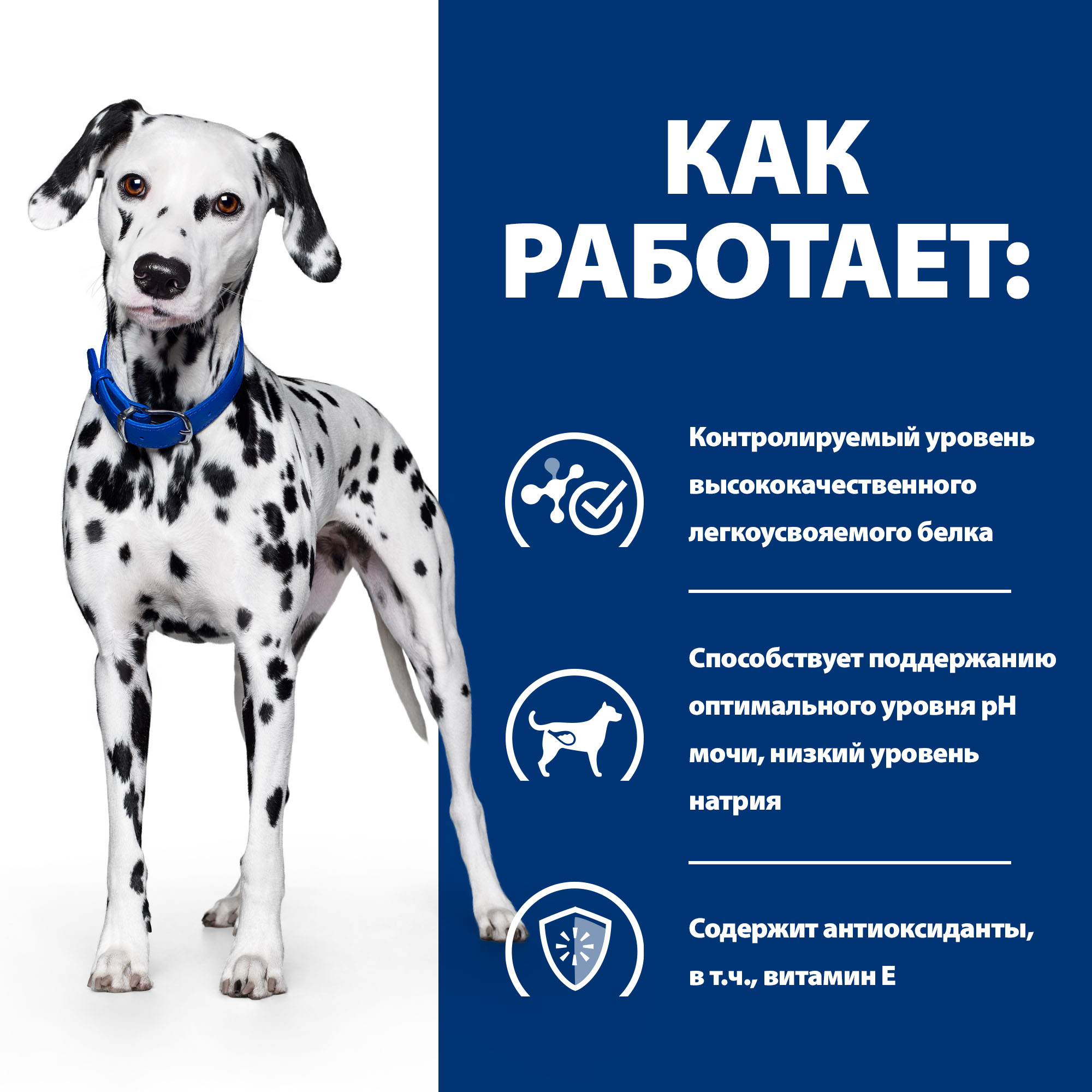 Корм для собак HILLS Prescription Diet u/d Urinary Care при хронической болезни почек 4кг - фото 3