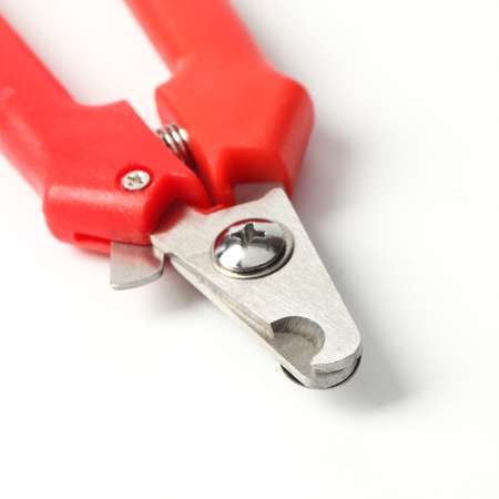 Когтерез Пижон боковой малый с прямыми ручками отверстие 9 мм красный