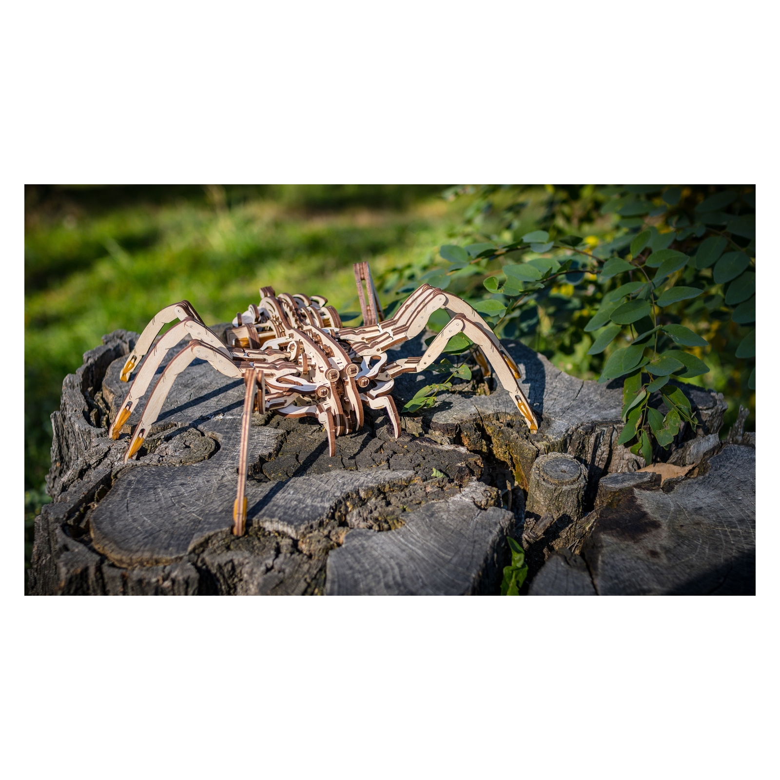 Конструктор Eco Wood Art (EWA) Spider Паук купить по цене 2390 ₽ в  интернет-магазине Детский мир