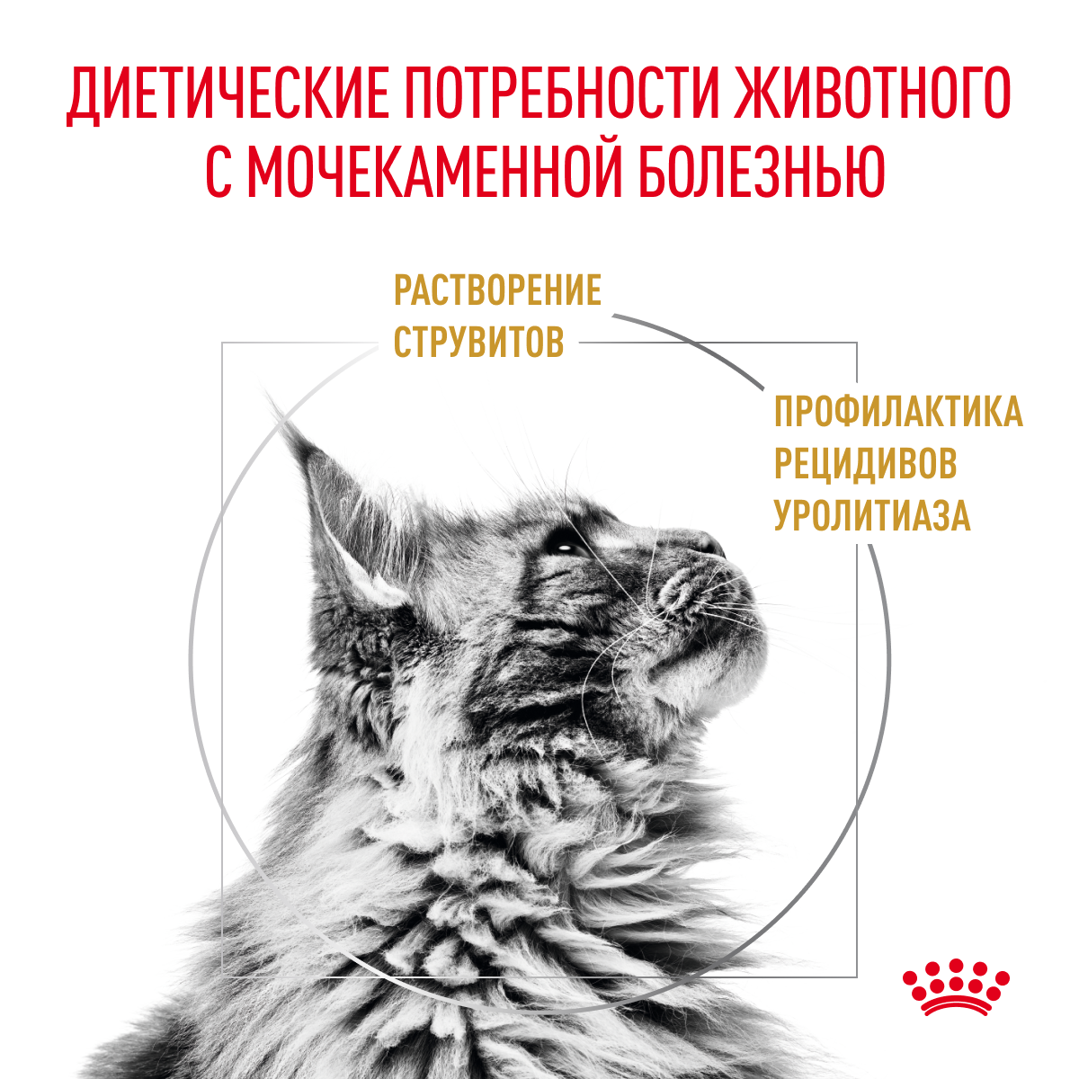 Сухой корм для кошек ROYAL CANIN Urinary 7 кг (при МКБ, лечебный) - фото 2