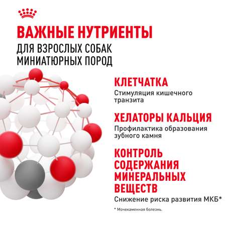 Корм для собак ROYAL CANIN миниатюрных пород 500г