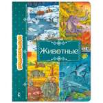 Книга АСТ Животные виммельбух